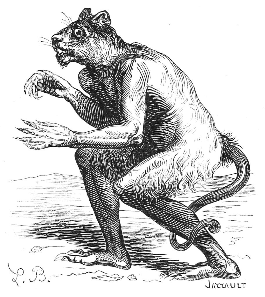 Most Dangerous Duke Demons - 3